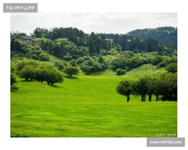 《五彩斑斓自然奇观探索之旅带你领略全球最美的自然奇景》