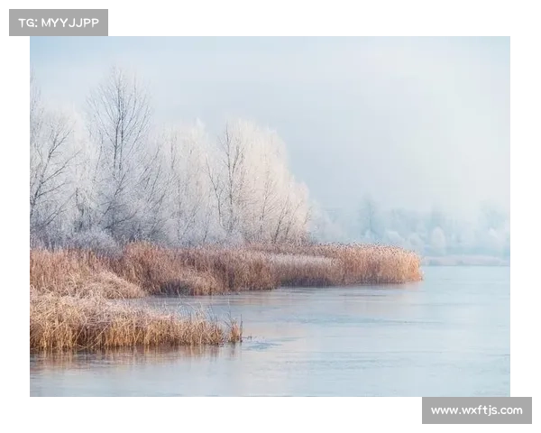 冬季湖畔旅行全攻略畅享宁静冬日美景与自然之静谧