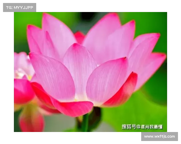 拿到福气的十大秘籍与策略助你事事顺心步步高升财富运势双丰收