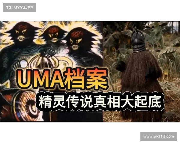 精灵传说在全球文化中的深远影响与象征意义解析