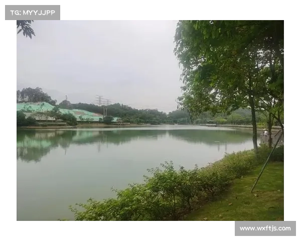 踏入DNF金色迷雾袖珍罐的魅惑之旅探索奇幻宝藏与未知惊喜