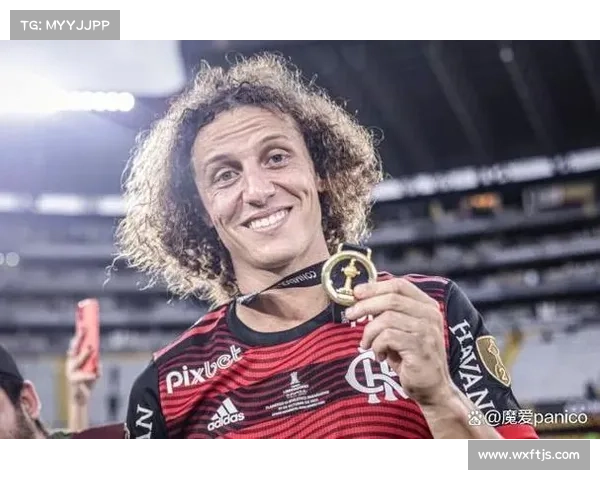 大卫路易斯落选原因深度分析及其对巴西队未来影响的解读